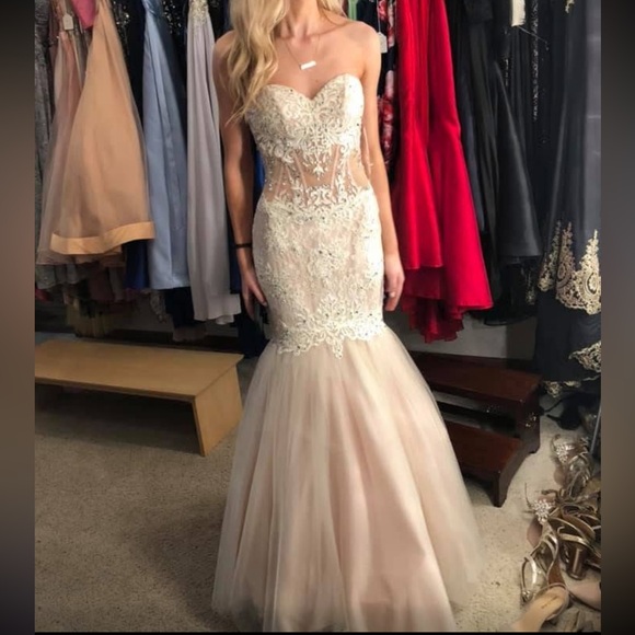 Strapless nude/pink Lace Gown - Picture 6 of 6